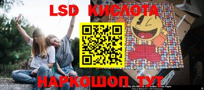 винт Новокубанск