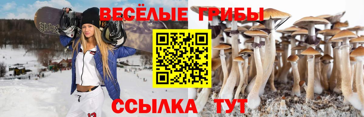 Галлюциногенные грибы Magic Shrooms Татарск
